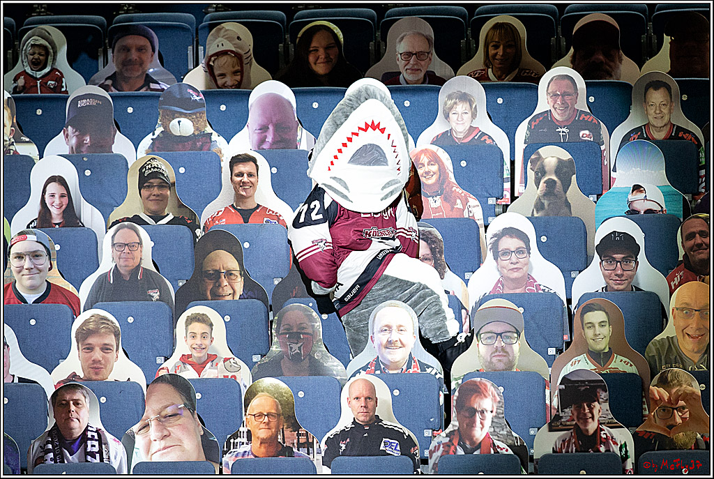 PENNY DEL;  Koelner Haie - Fischtown Pinguins Bremerhaven; Koeln, 12.02.2021